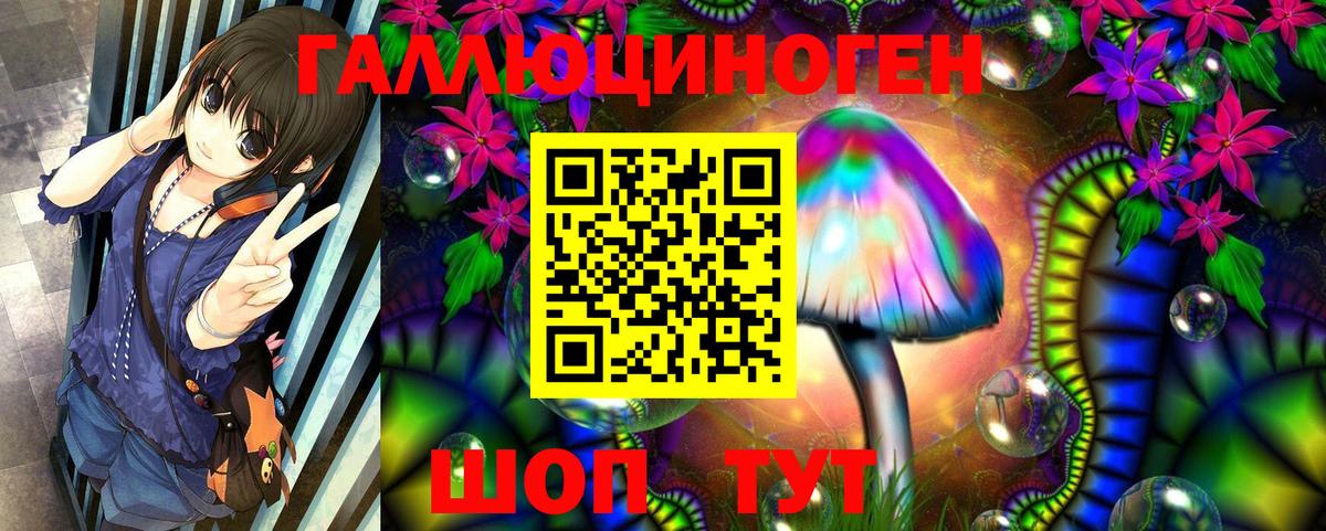 Галлюциногенные грибы GOLDEN TEACHER  Вход с VPN  сколько стоит  Гай 