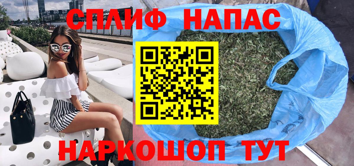 Конопля сатива Гай